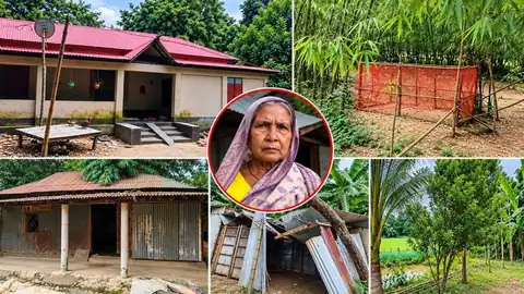 দুর্গাপুরের বসতঘর, বাঁশঝাড় ও জমির কোলাজ—মাঝে এক প্রবীণা নারী